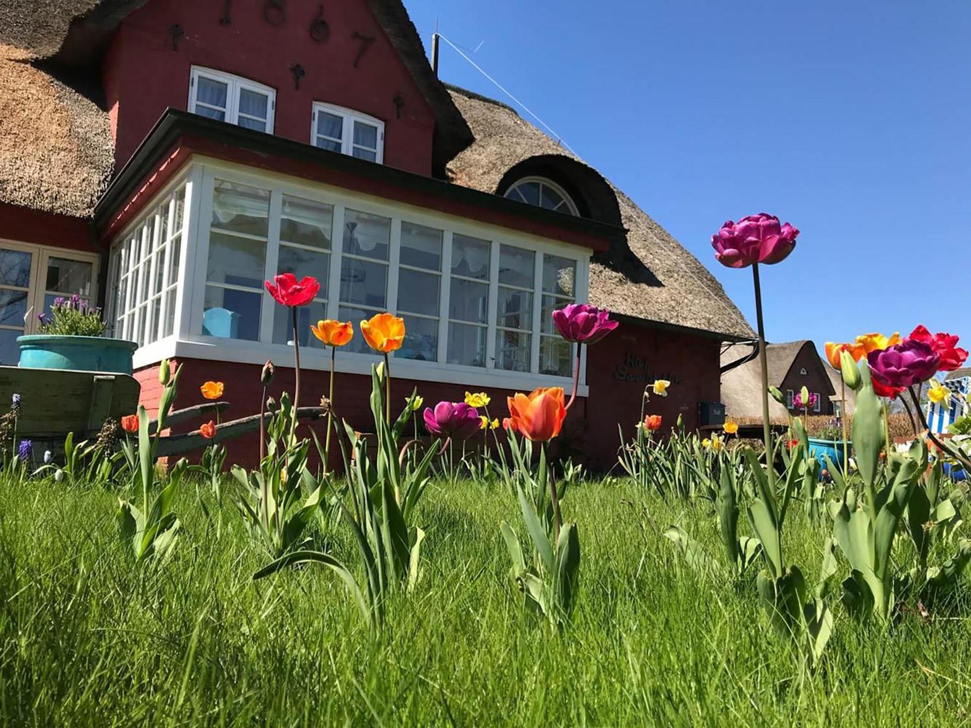 Hues Sanskiin Ferienwohnung *Aawerkant* Suddorf Exterior foto